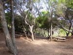 Cestou na Cala el Pilar - piknik