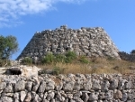 Cornia