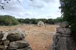 Ses Roques LLises