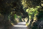 Sa Roca
