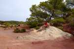 Ses Salines de Mongofre