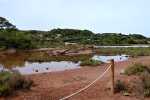 Ses Salines de Mongofre