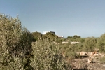 Torre Rafalet Petit
