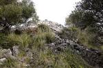 Talayot del Puig de Sa Roca
