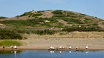 Cestou na Cala Pregonda - jez&iacute;rko u pl&aacute;že Binimel-la