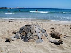Platja d&acute;en Tortuga